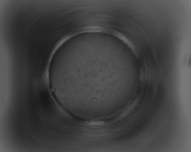 X0000100421466200806061352