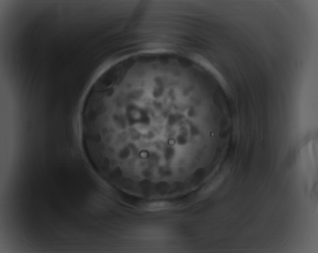 X0000100421467200806061352