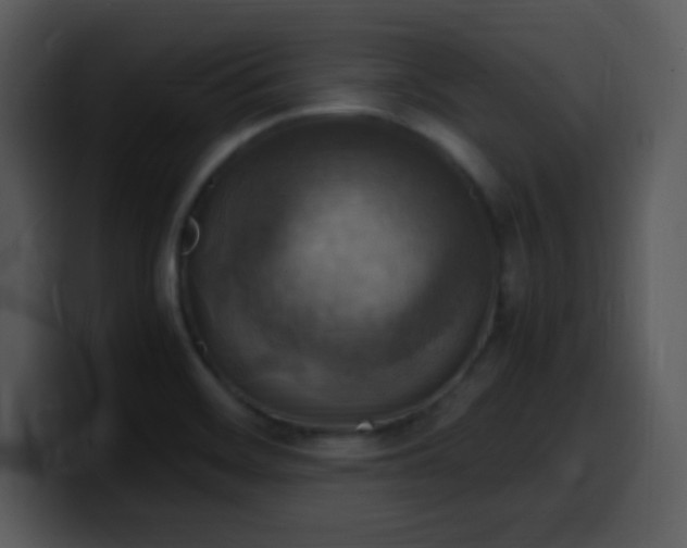 X0000100421468200806061352