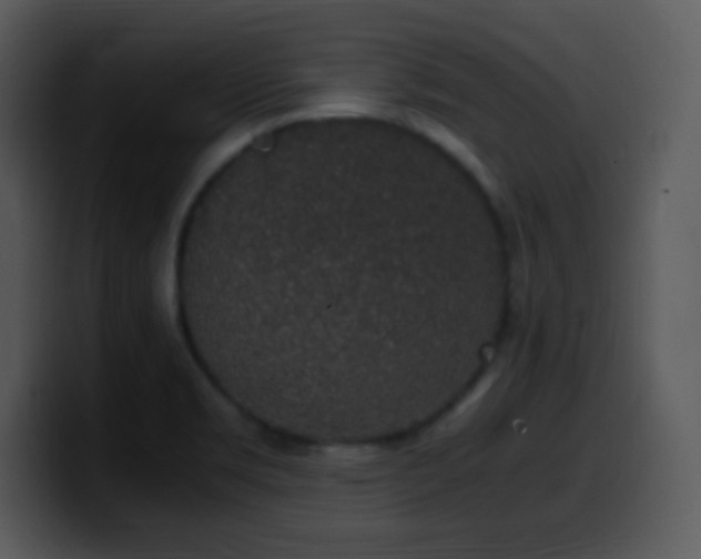 X0000100421469200806061352