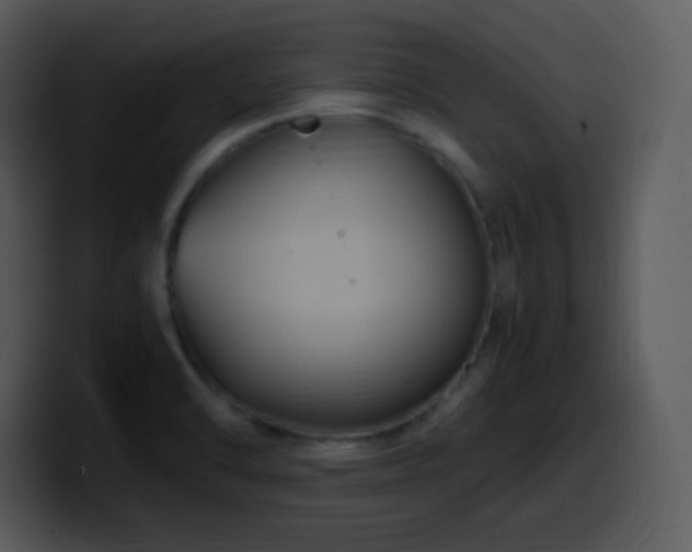 X0000100421470200806061352