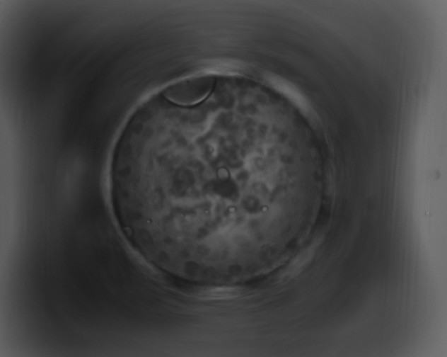 X0000100421471200806061352