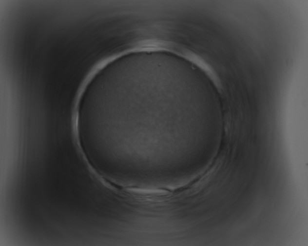 X0000100421472200806061352
