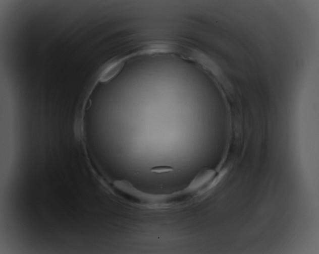 X0000100421473200806061352