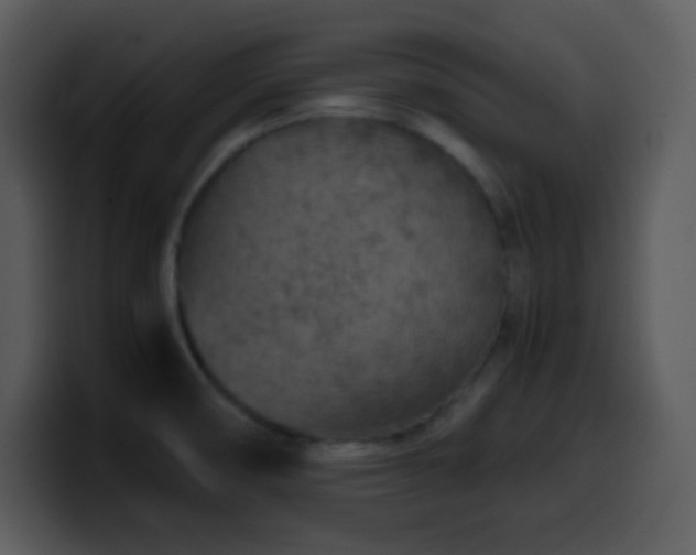 X0000100421474200806061352