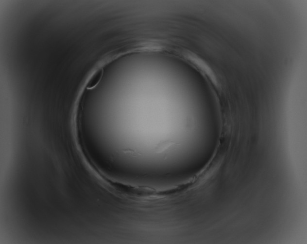X0000100421475200806061352