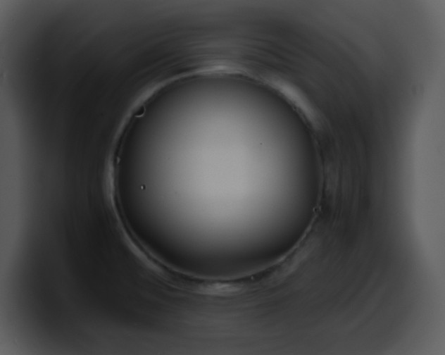 X0000100421476200806061352