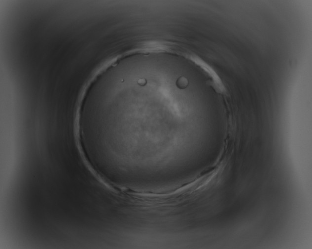 X0000100421477200806061352