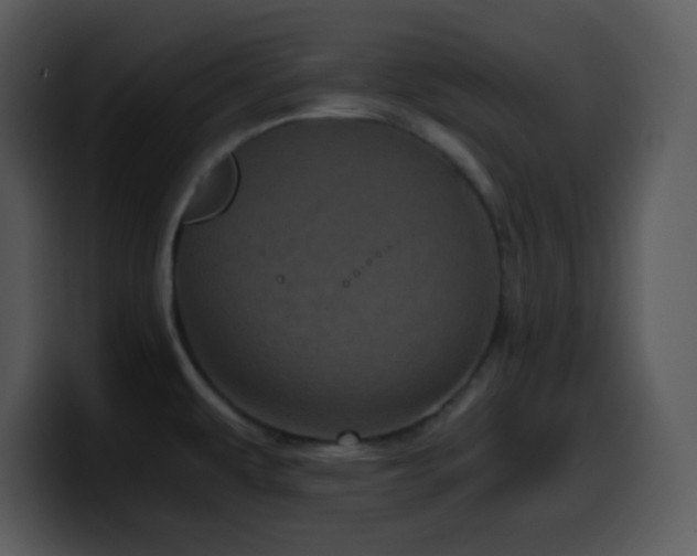 X0000100421479200806061352