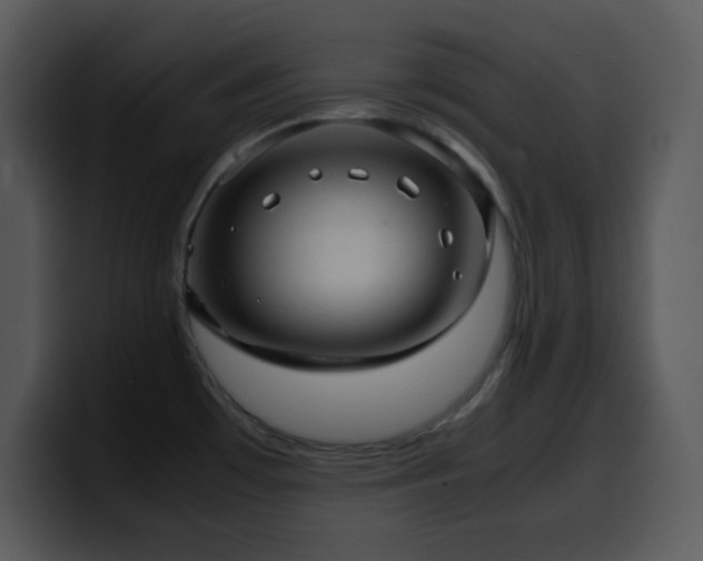 X0000100421481200806061352