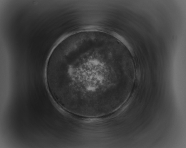 X0000100421482200806061352