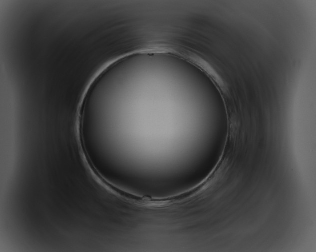 X0000100421484200806061352