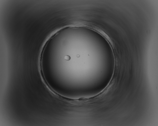 X0000100421485200806061352