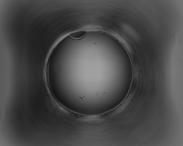 X0000100421486200806061352