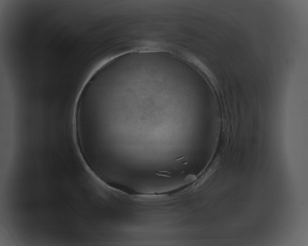 X0000100421487200806061352