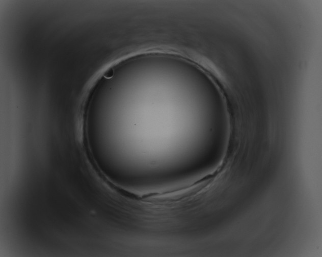 X0000100421504200806061351