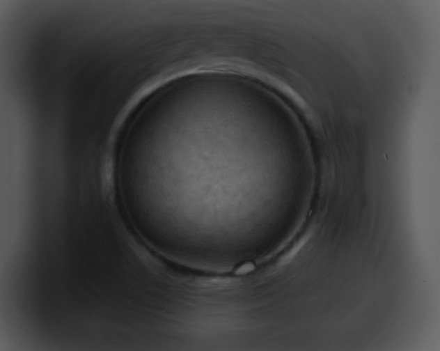 X0000100421506200806061352