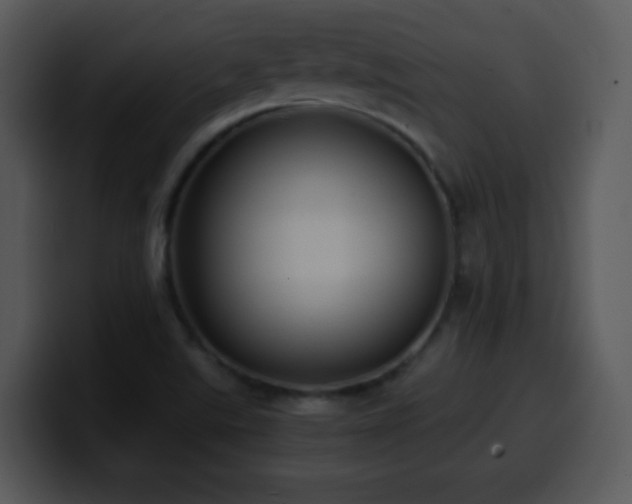 X0000100421507200806061352