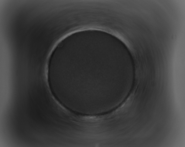 X0000100421508200806061352