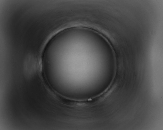 X0000100421509200806061352