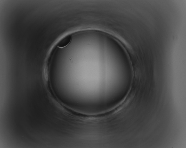 X0000100421510200806061352