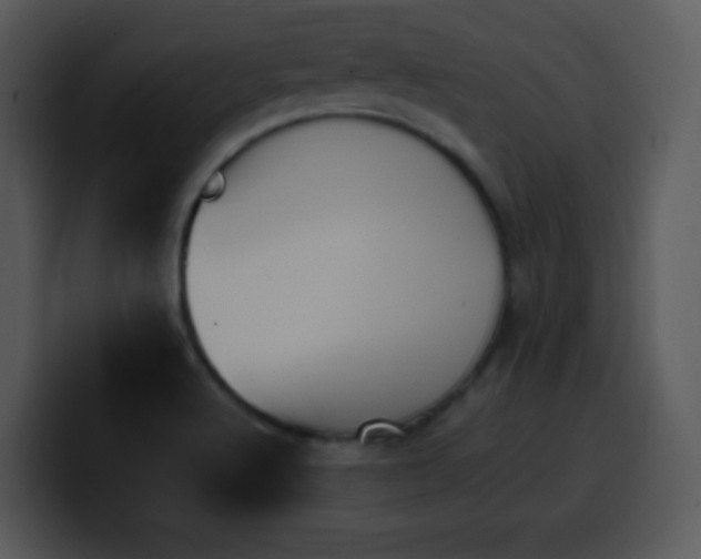 X0000100421512200806061352