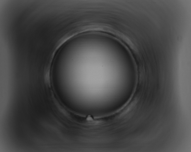 X0000100421513200806061352