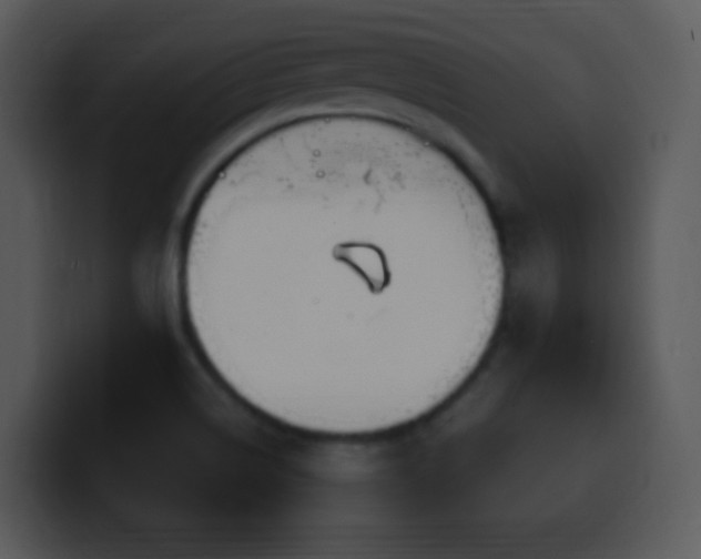 X0000100421514200806061352