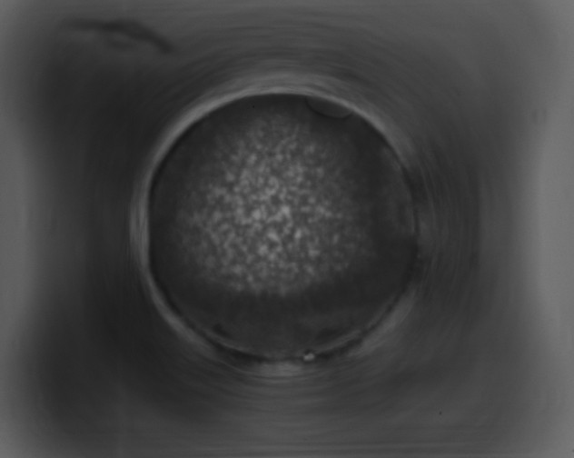 X0000100421515200806061352