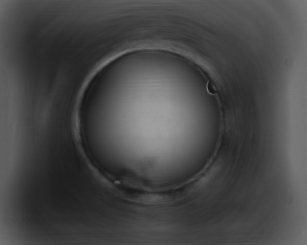 X0000100421517200806061352