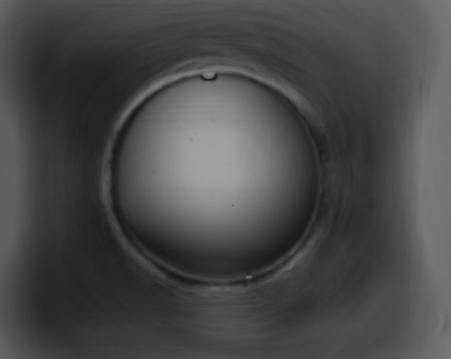 X0000100421518200806061352