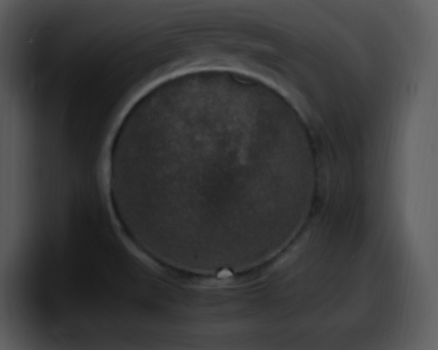 X0000100421519200806061352