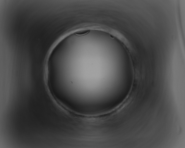 X0000100421520200806061352