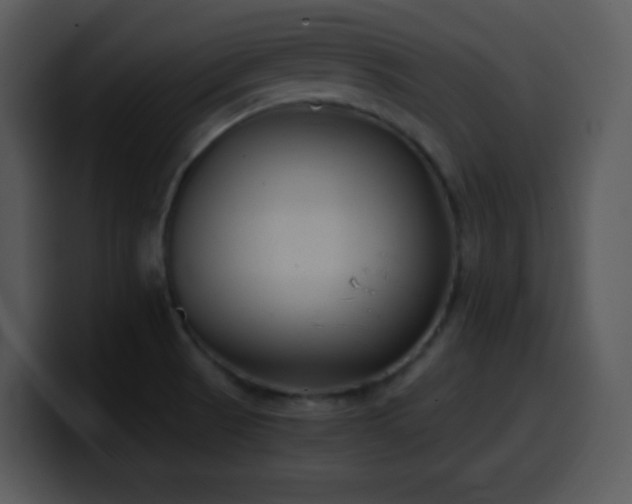 X0000100421521200806061352