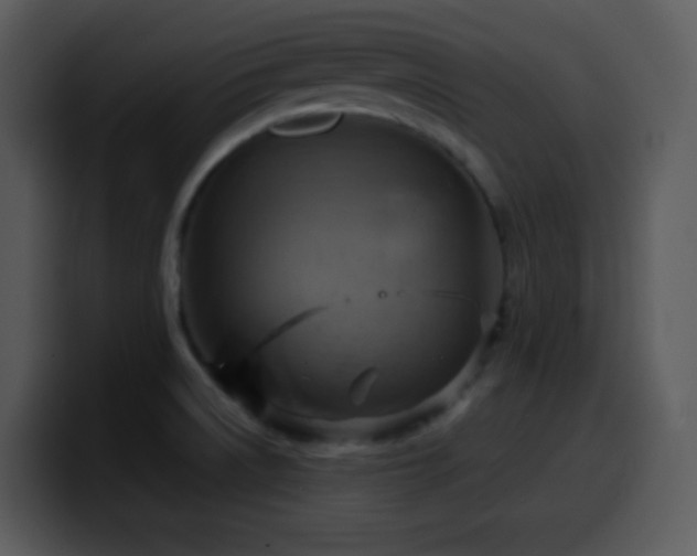 X0000100421522200806061352