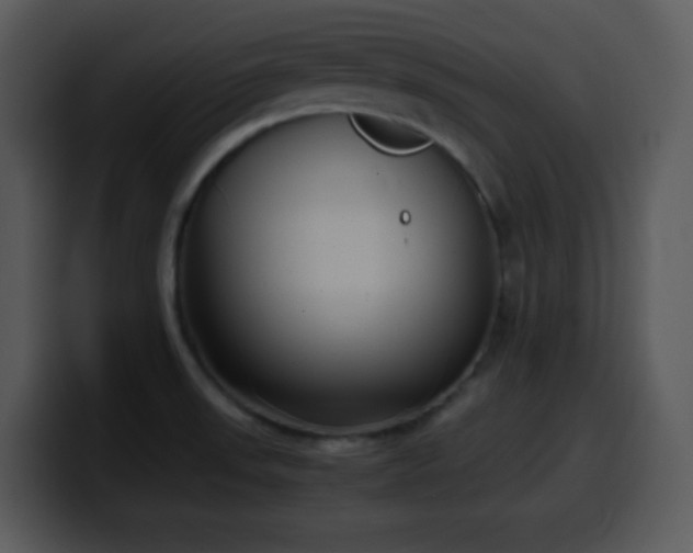 X0000100421523200806061352