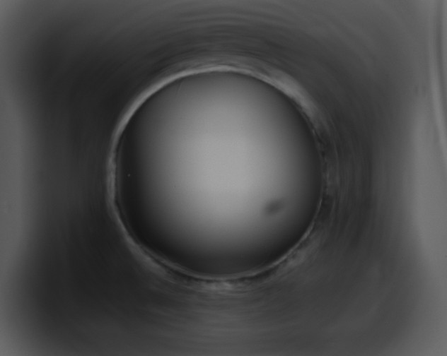 X0000100421524200806061352
