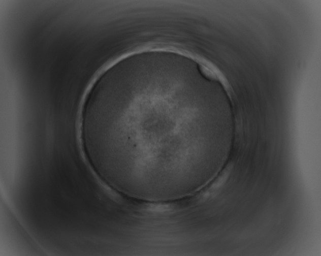 X0000100421525200806061352