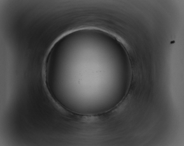 X0000100421526200806061352