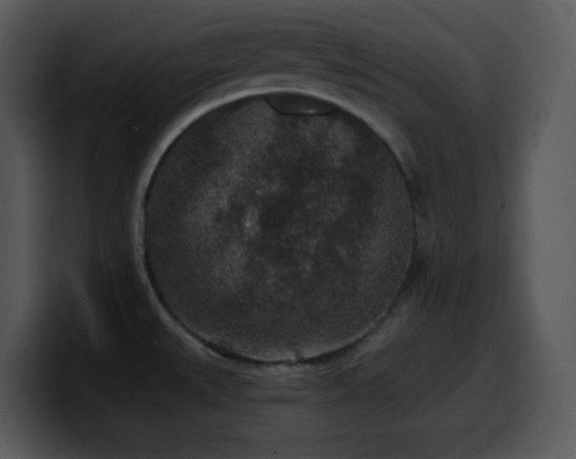 X0000100421527200806061352