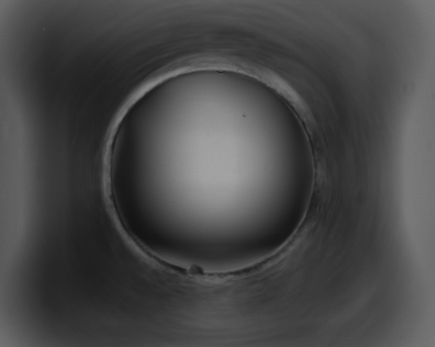 X0000100421528200806061352