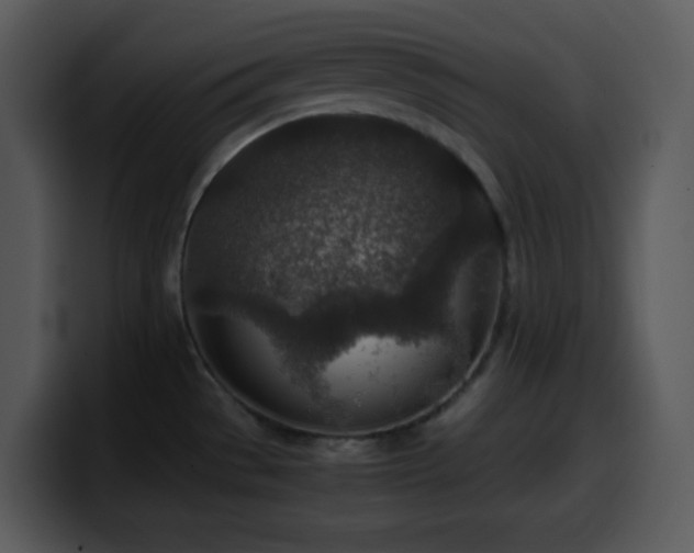 X0000100421529200806061352