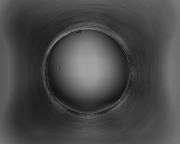 X0000100421530200806061352