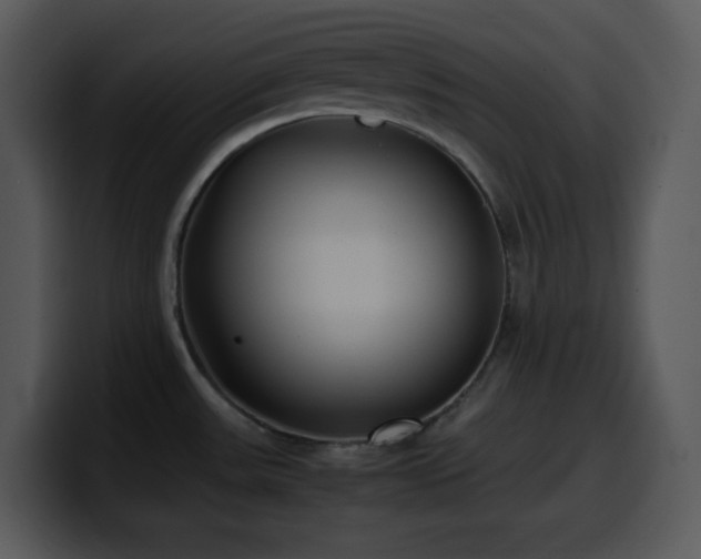 X0000100421531200806061352