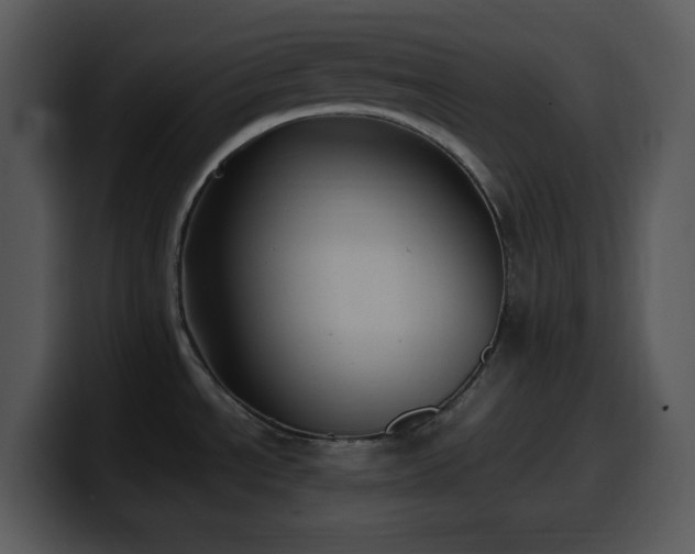 X0000100421534200806061352
