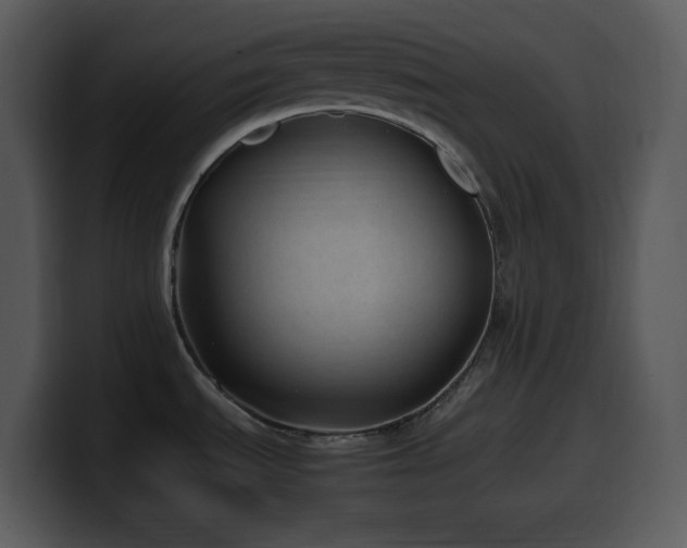 X0000100421535200806061352
