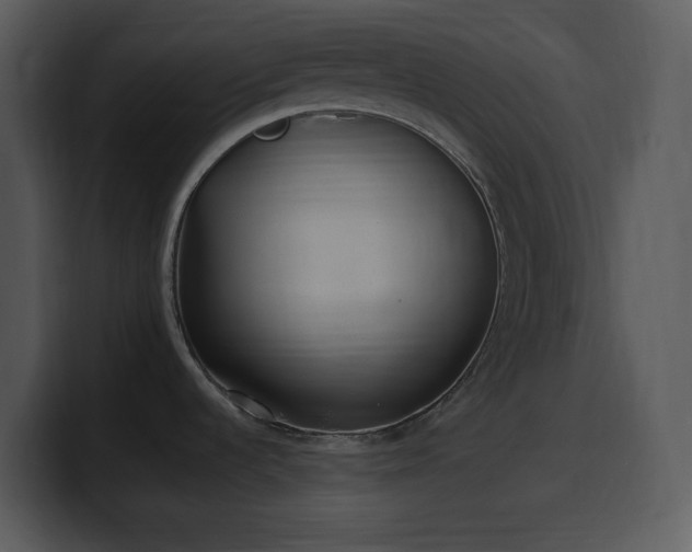 X0000100421536200806061352