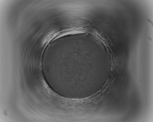 X0000100420002200806131109