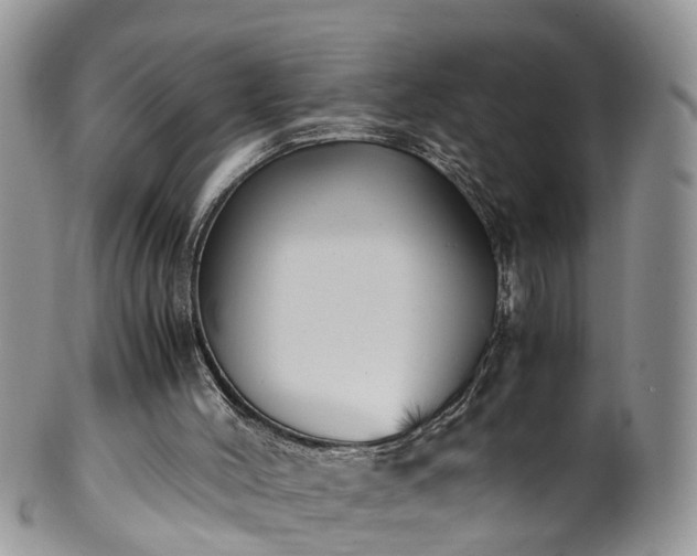 X0000100420004200806131109