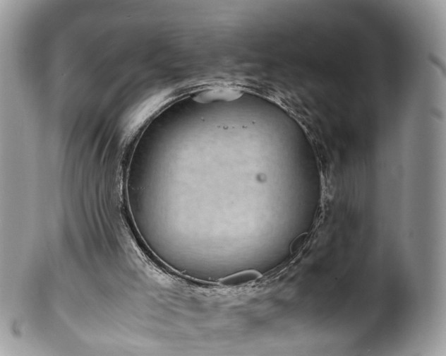 X0000100420005200806131109